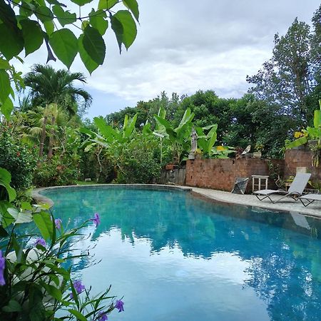 Warsi Bungalow Ubud Eksteriør bilde